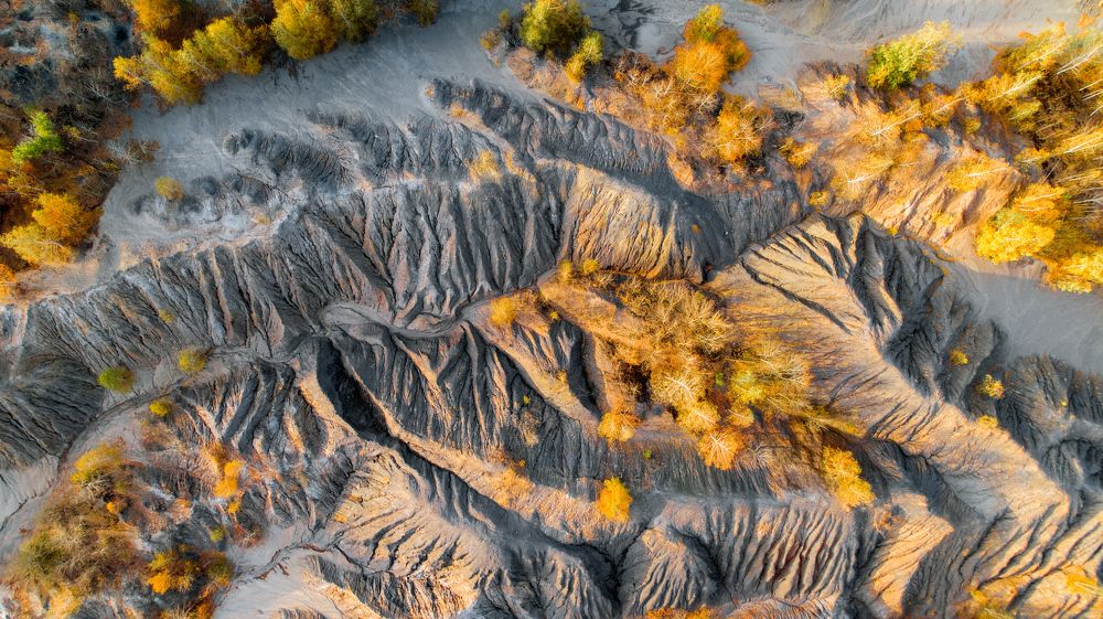 Photograph by Павел Трефилов