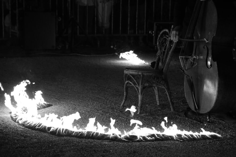 Photograph by Dinel Teodorescu