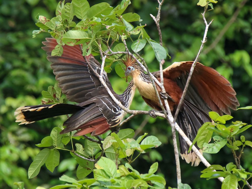 Photograph by Валентина Лопаткина