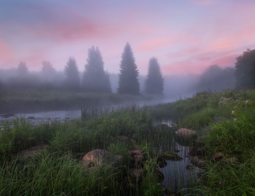 Утро на речке...