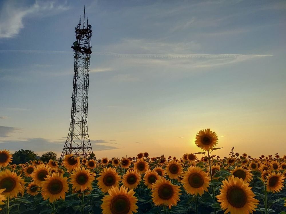 Photograph by Алла Боброва