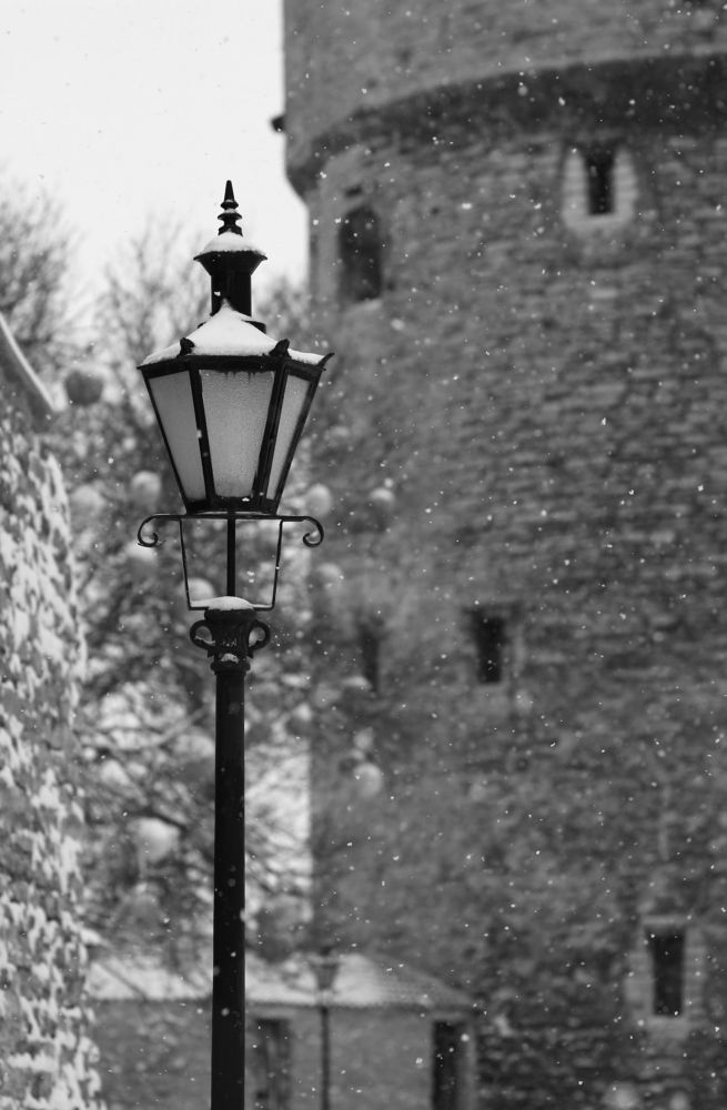 Photograph by Jekaterina Barsukova