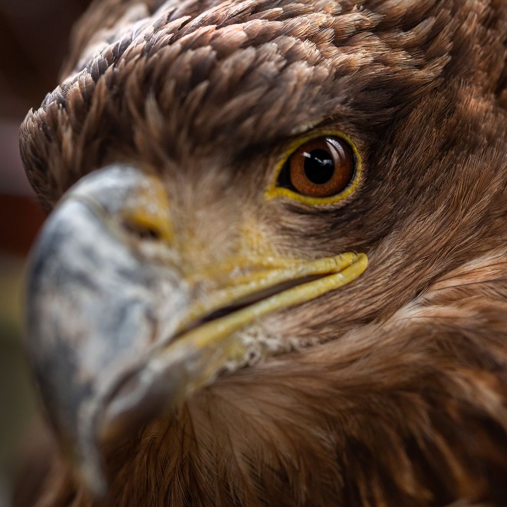 Photograph by Patryk Wenta