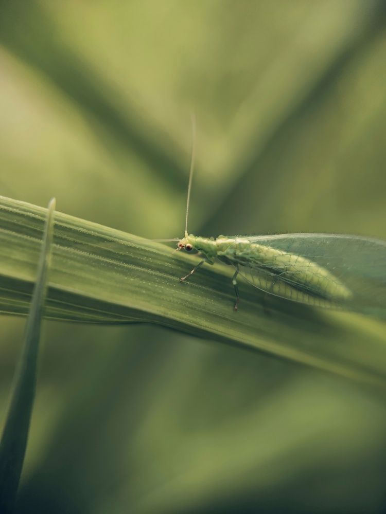 Photograph by Мария Фак