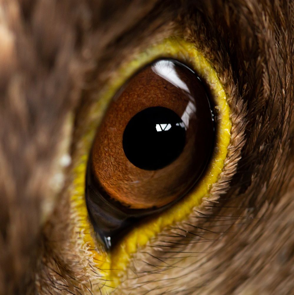 Photograph by Patryk Wenta