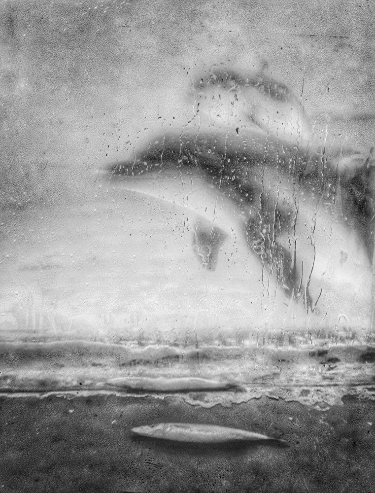 Photograph by abbas valadi