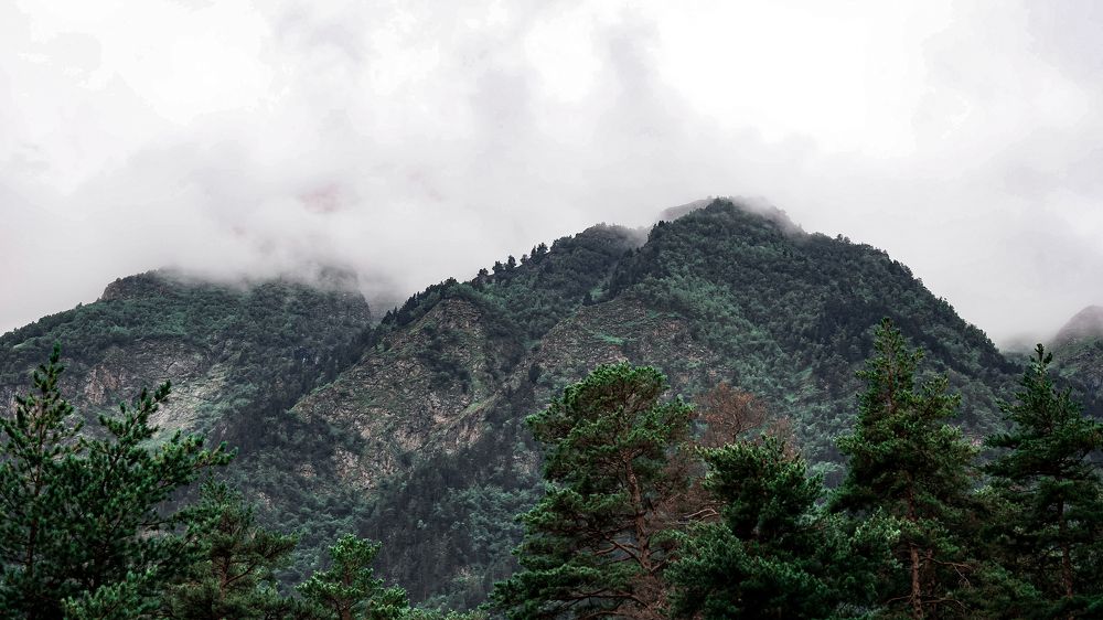 Photograph by Ахмат Макоев