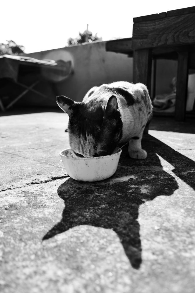 Photograph by Shubham