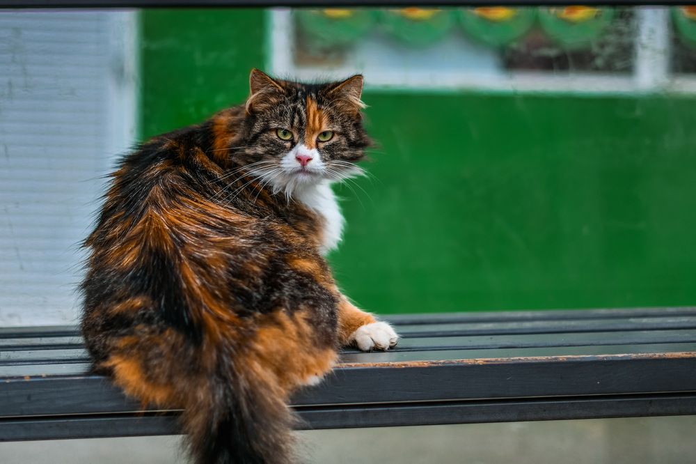 Photograph by Сергей