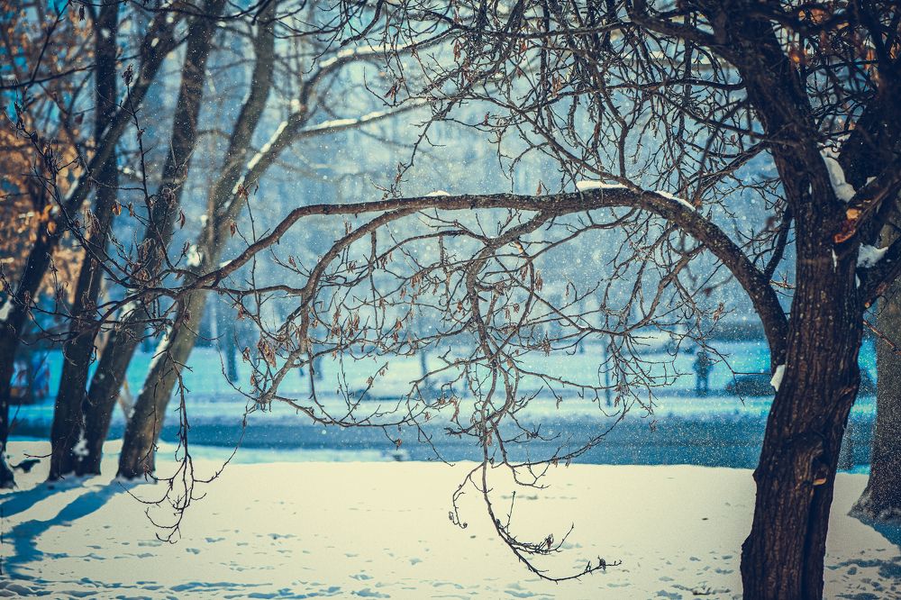 Photograph by Сергей