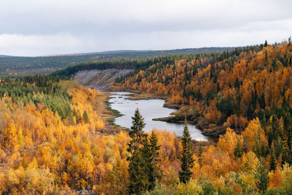 Фотография автора Андрей Русских