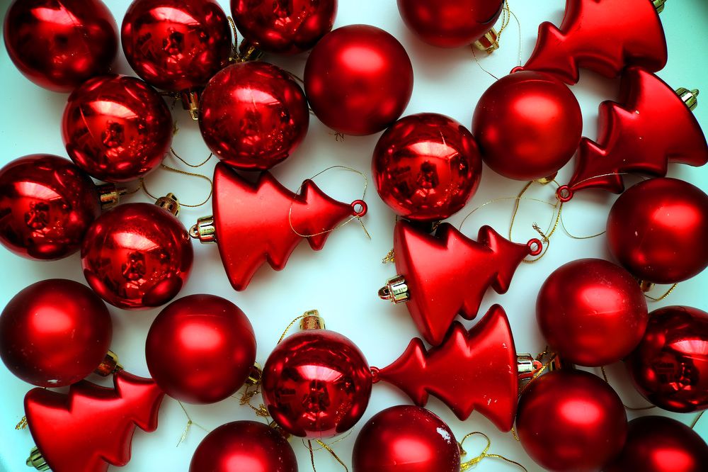 Фотография автора Анастасия Пищулова