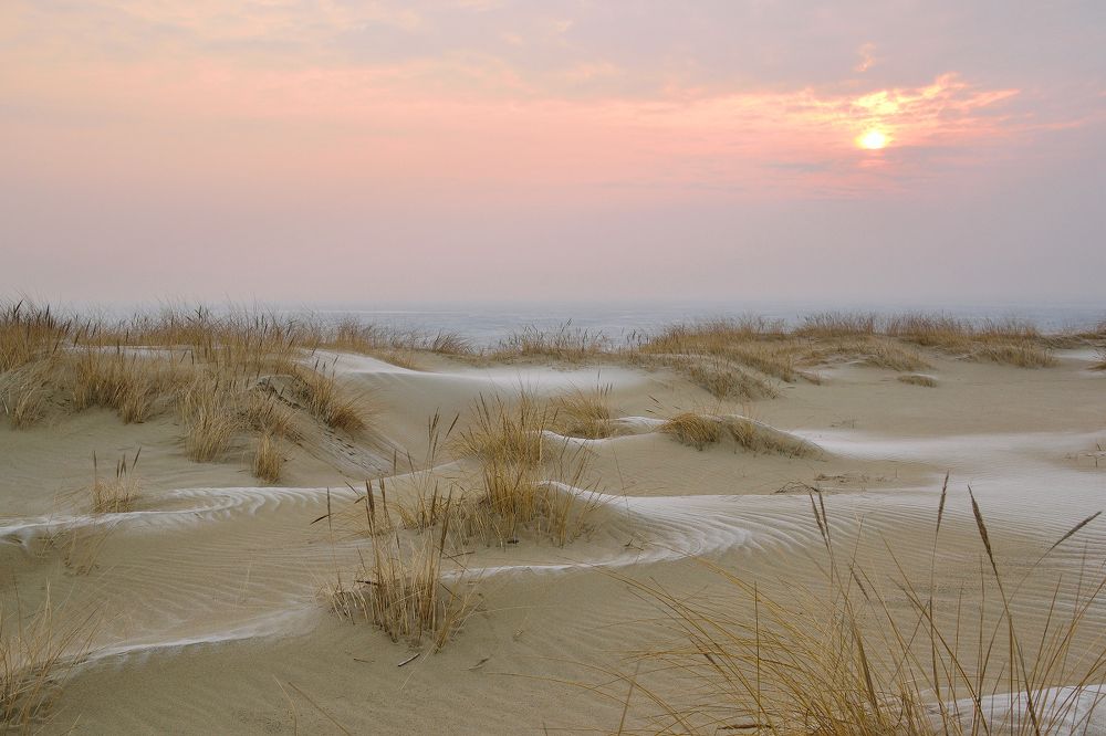 Photograph by Сипаева Катерина