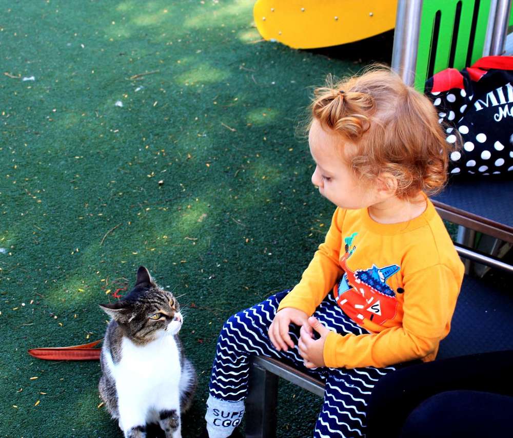 Фотография автора Алла Черноморская