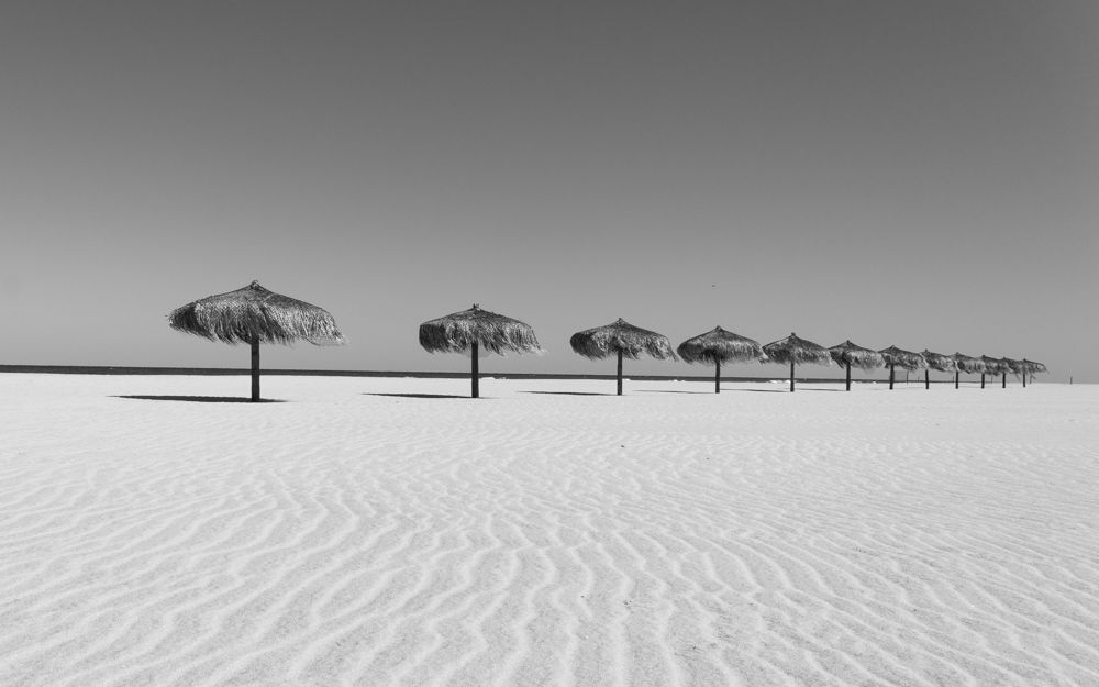 Photograph by Marco Morales