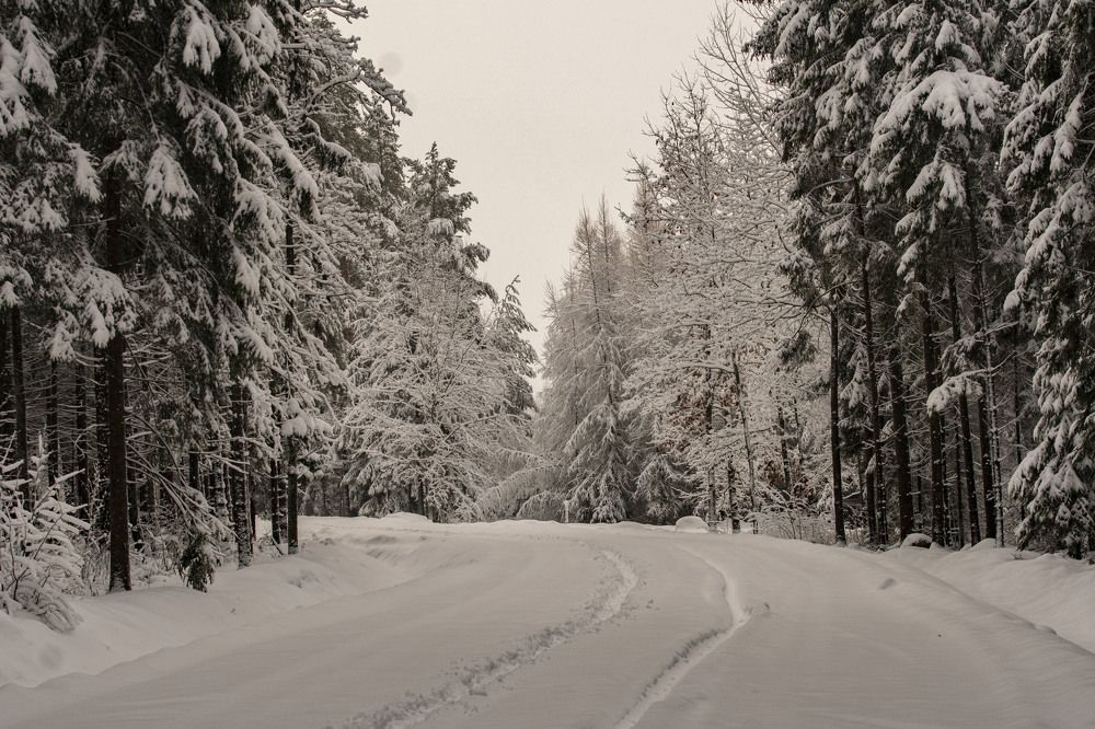 Photograph by Владислав Шигера