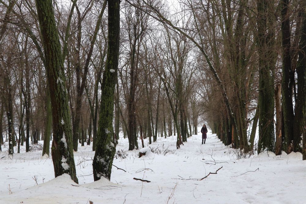 Девушка в лесу