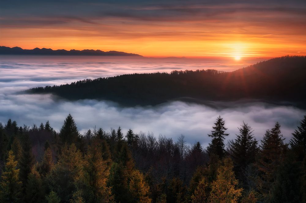 Photograph by Jakub Perlikowski