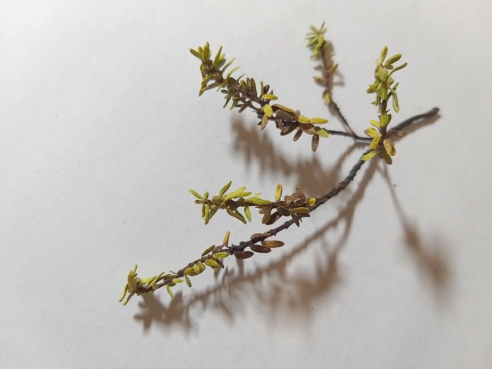 Photograph by Лада Денисова