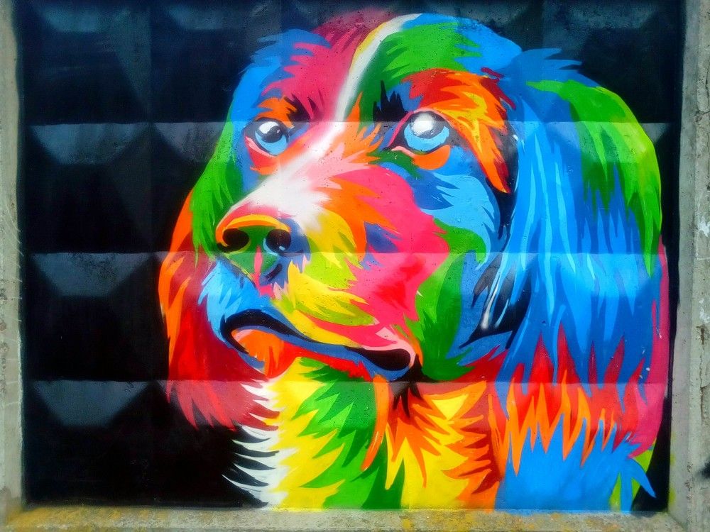 Photograph by Андрей Семенченко