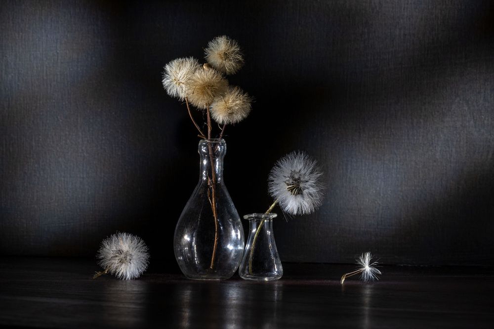 Натюрморт одуванчиков...