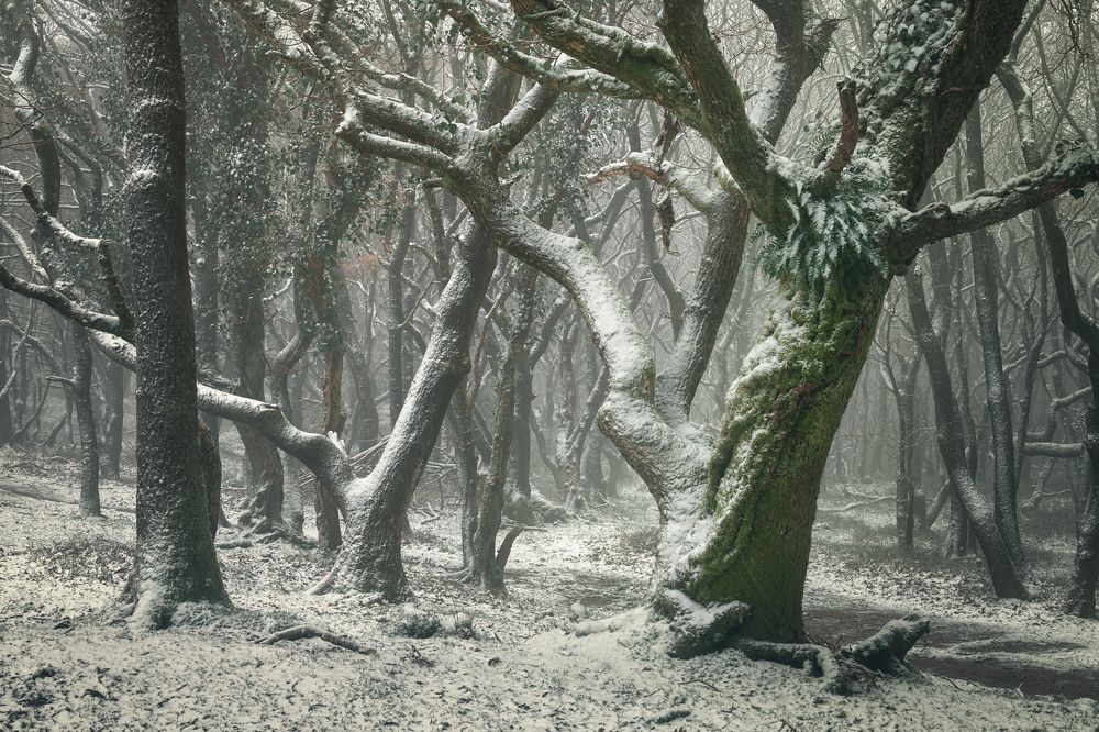 Photograph by ARTUR SZCZESZEK