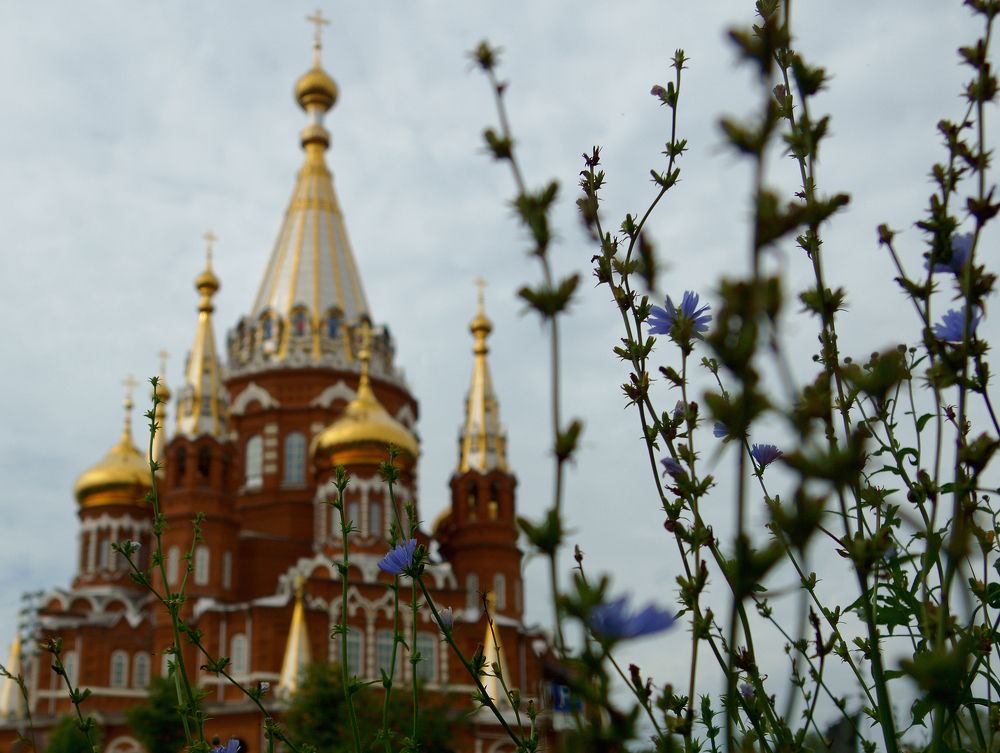 Photograph by Михаил Медведев