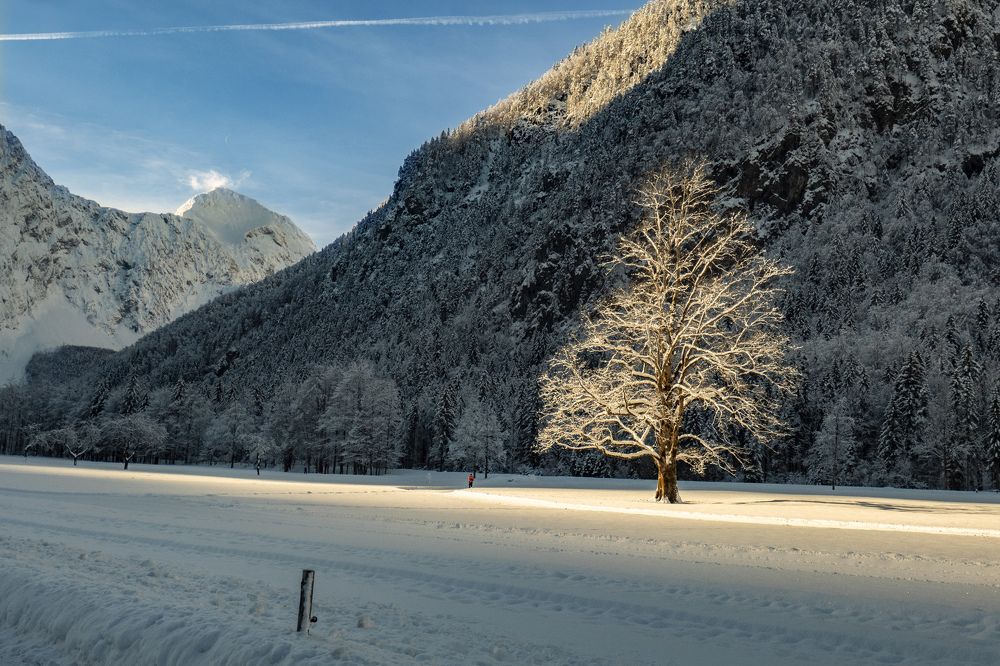 Photograph by Igor Gruber