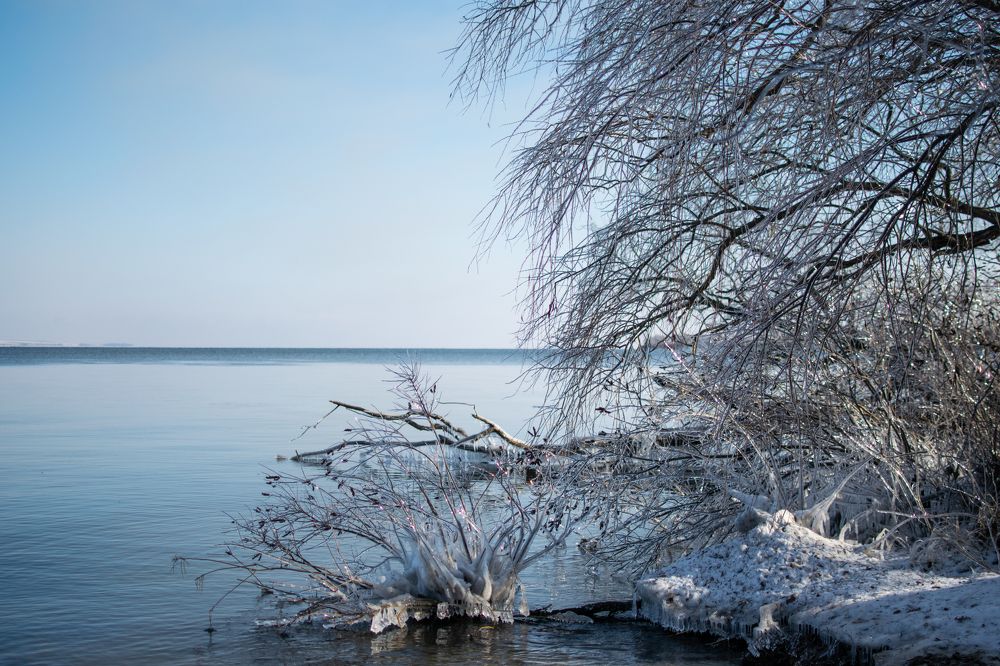 Фотография автора Алексей Боровик