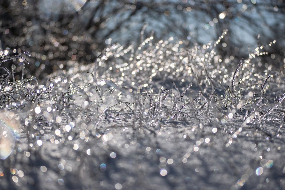 Фотография автора Алексей Боровик