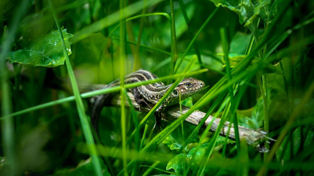 Photograph by Дмитрий Крючков