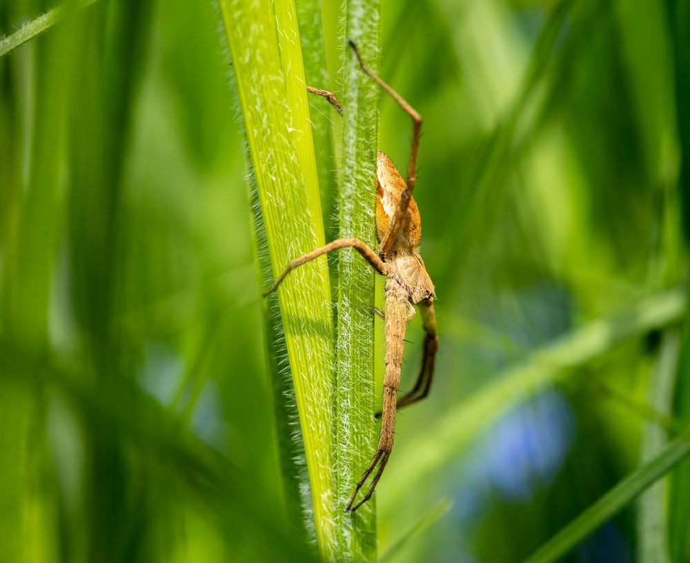 Photograph by Дмитрий Крючков