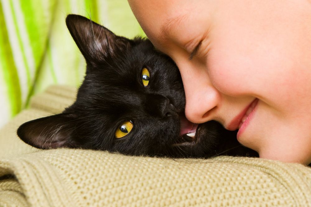 Фотография автора Андрей Серый