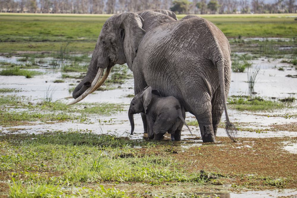 Photograph by Максимов Андрей