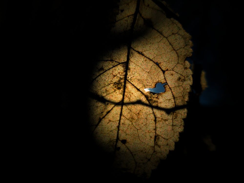 Photograph by Хачик Аджатян