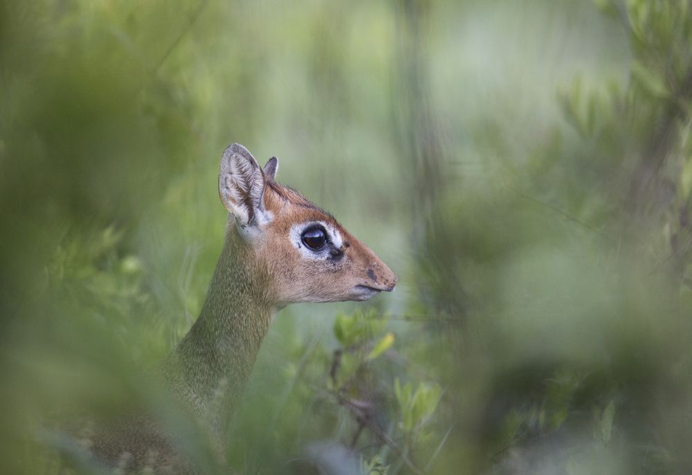 Photograph by Максимов Андрей