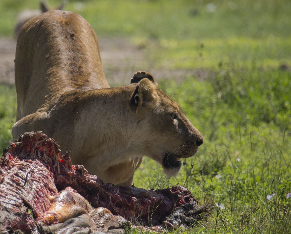 Photograph by Максимов Андрей
