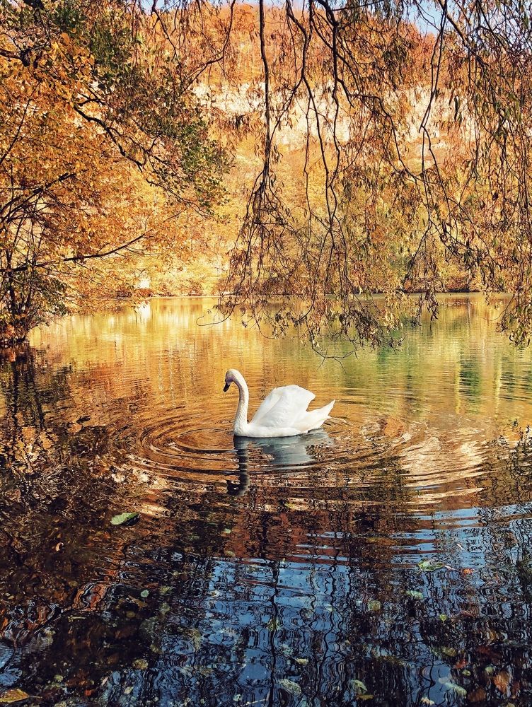 Золотая осень на голубых озёрах.