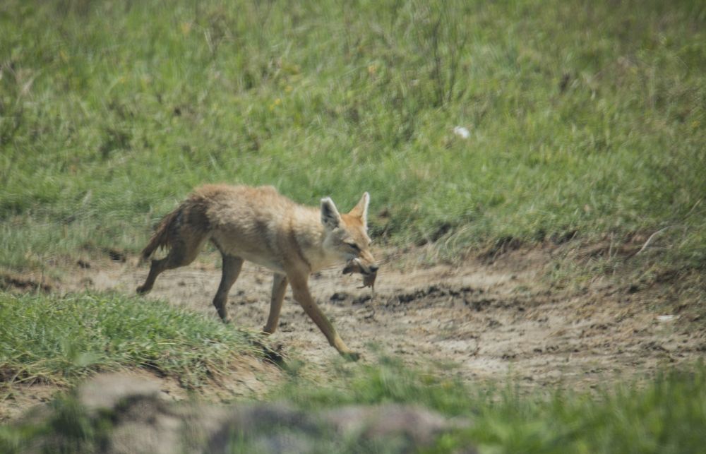 Photograph by Максимов Андрей