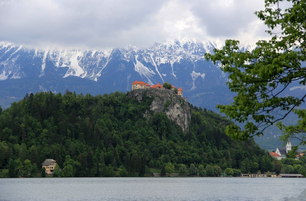 Photograph by Alena Poklonskaia