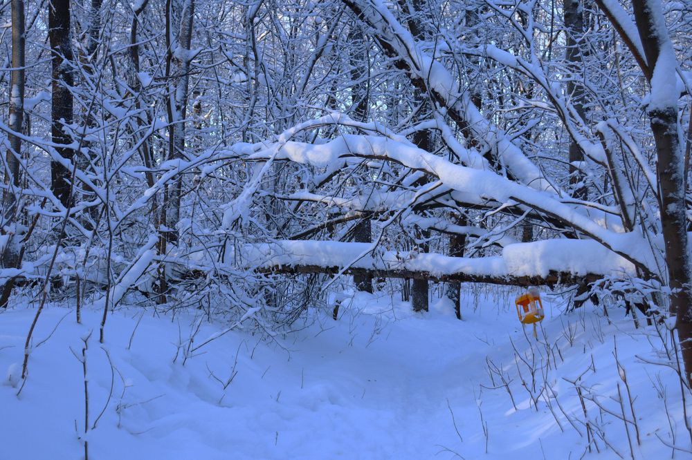 Photograph by Андрей Варакса