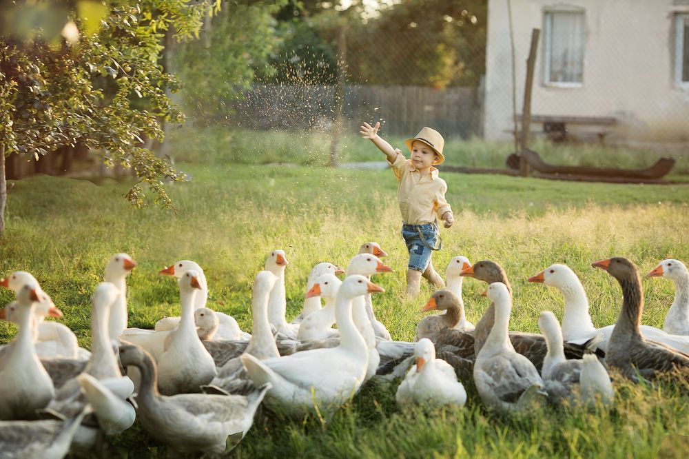 Photograph by Elena Ferciug