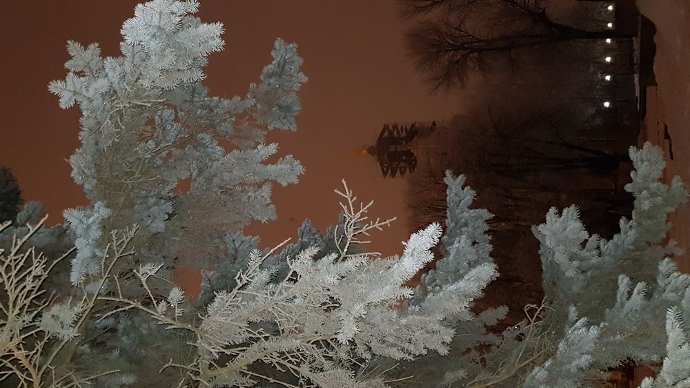 Вдруг как в сказке...