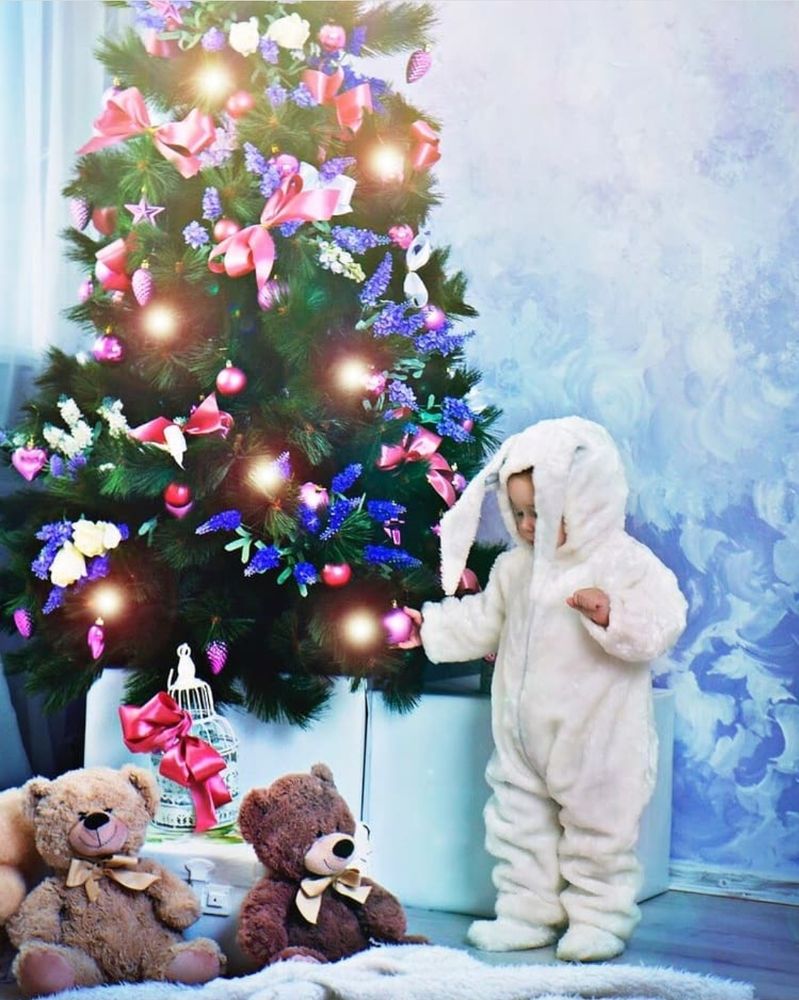 Фотография автора Алла Балабан