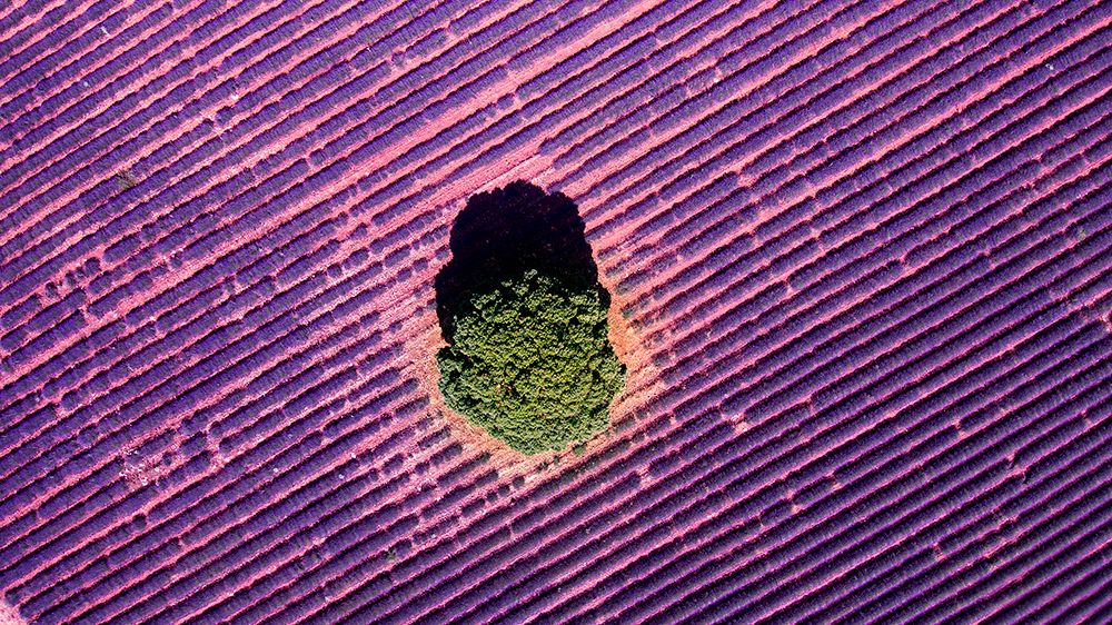 Photograph by Noa Táboas