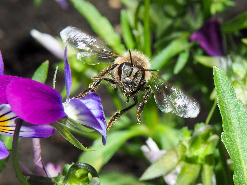 Photograph by Евгения Чепурная