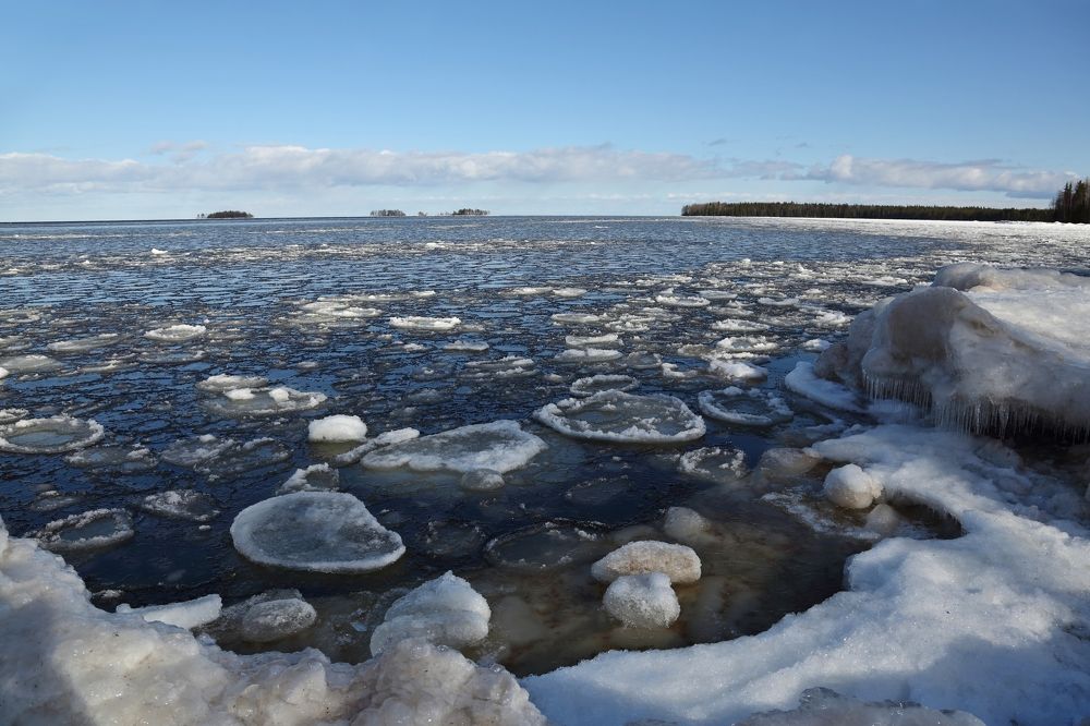 Ледяные блинчики.