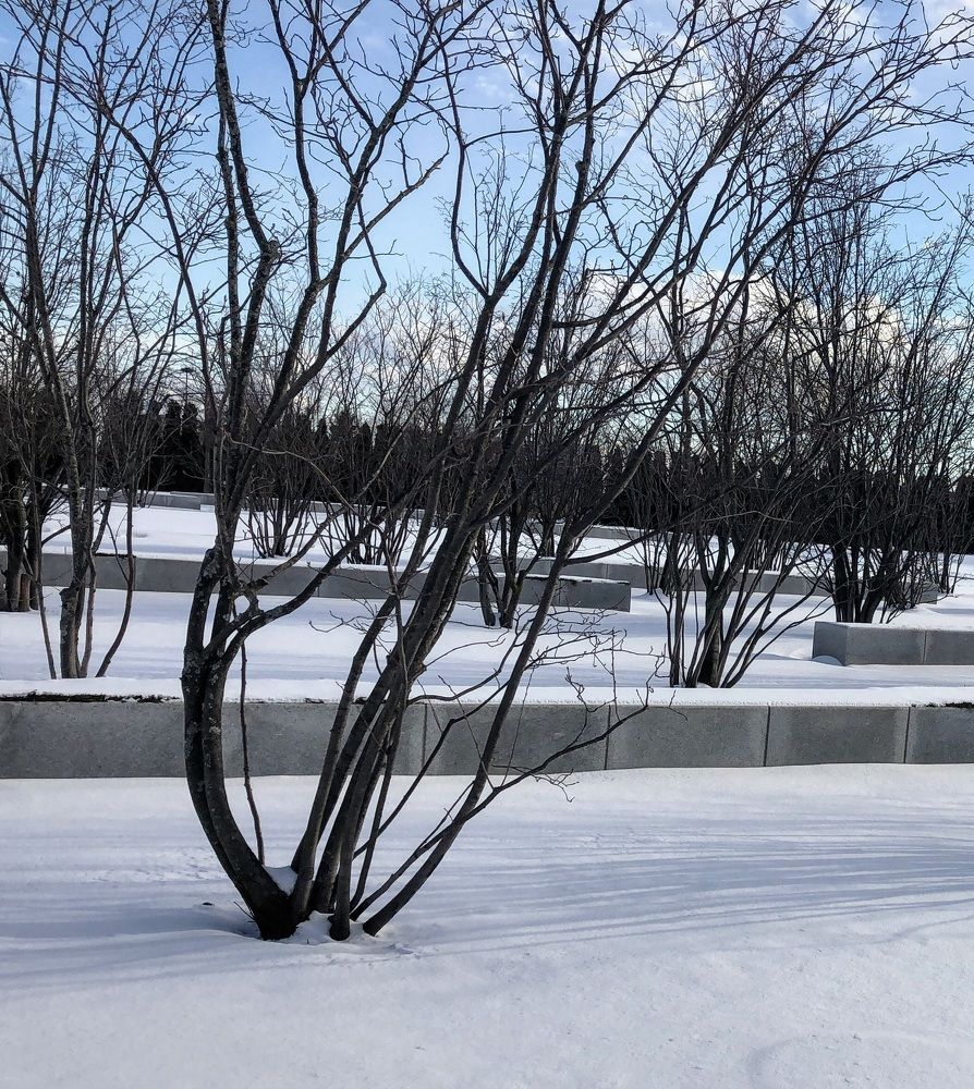 Artistry in the Wintertime