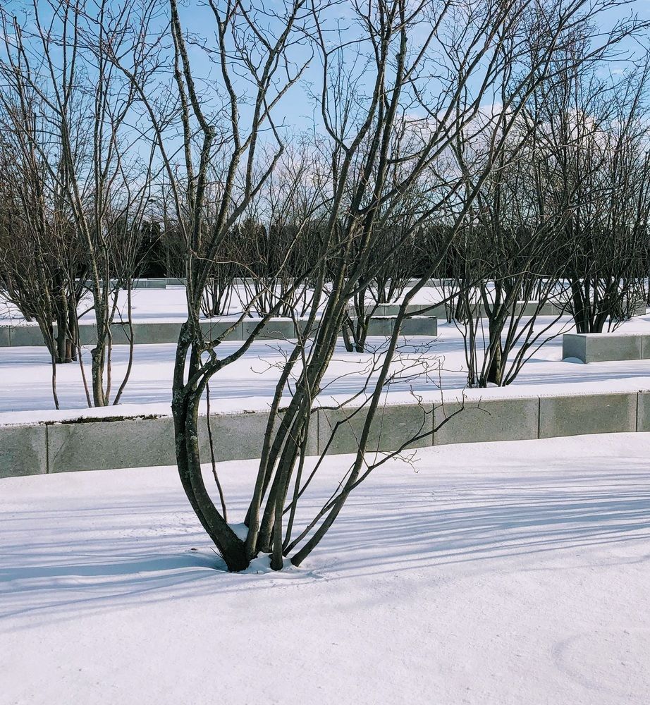 Photograph by Zeni Shariff