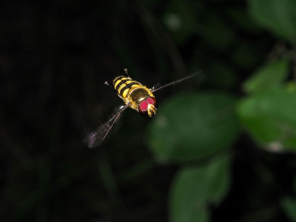 Photograph by Евгения Чепурная
